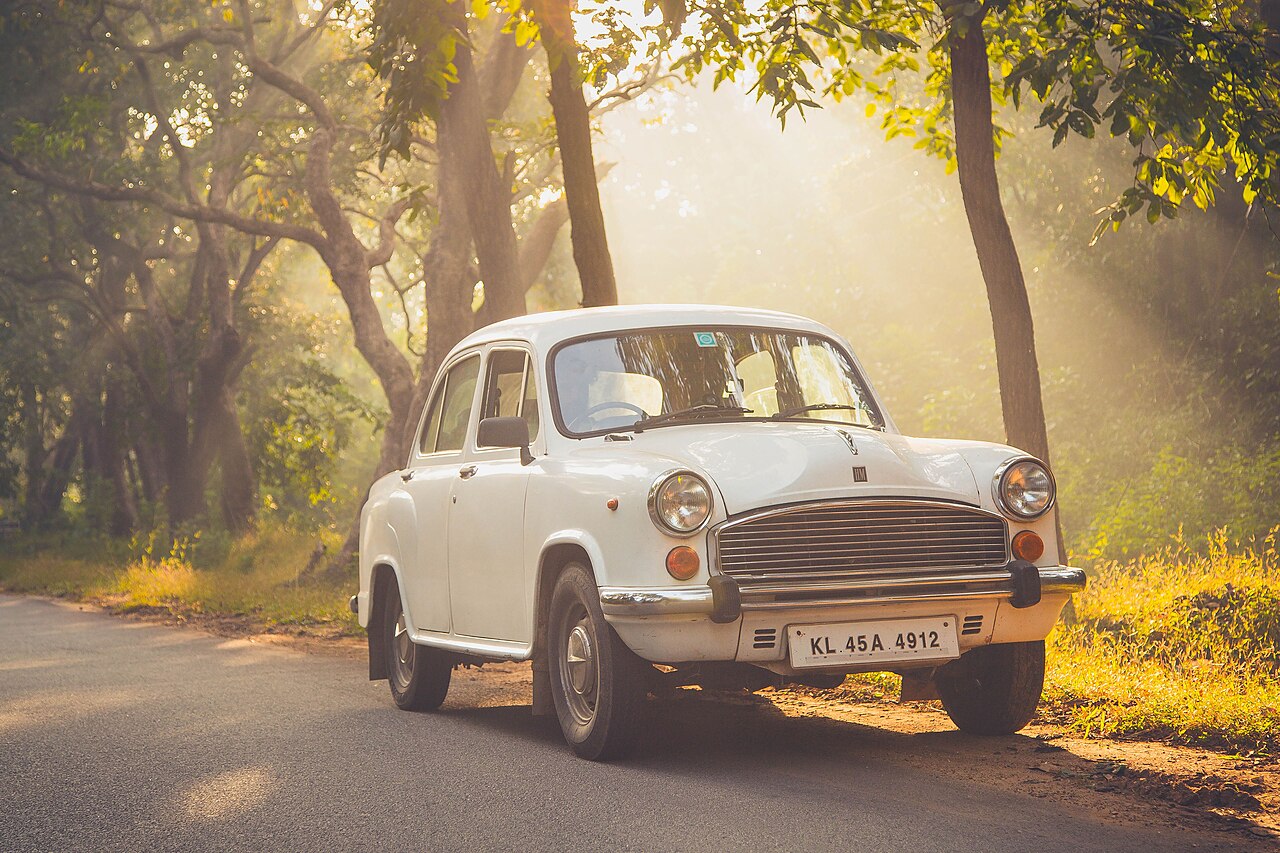 White Ambassador